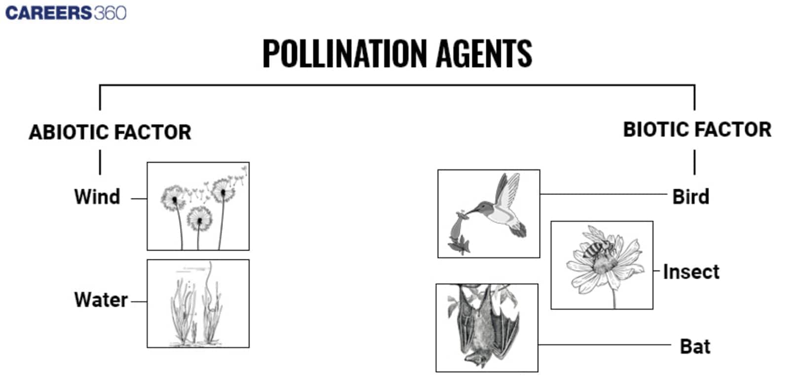 pollination agents
