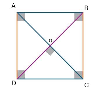 Square