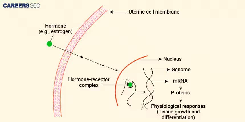 mechanisms of hormone action