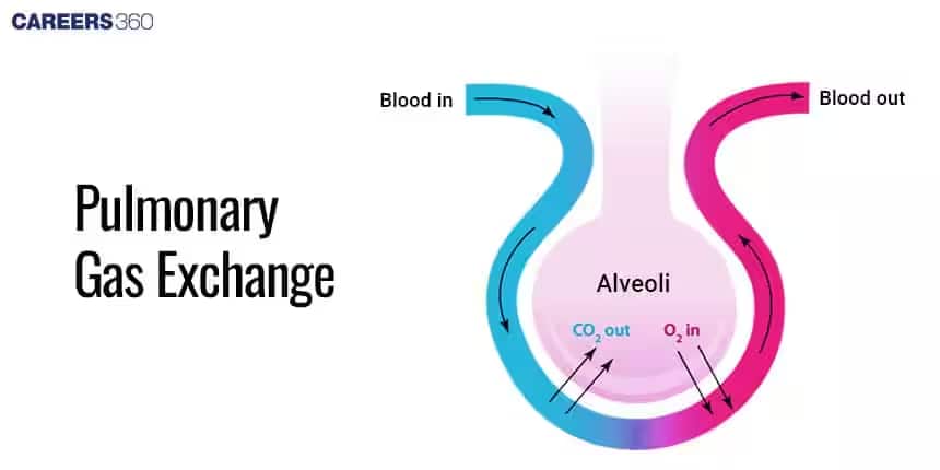 Pulmonary gas exchange