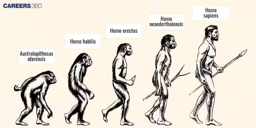 EVOLUTION
