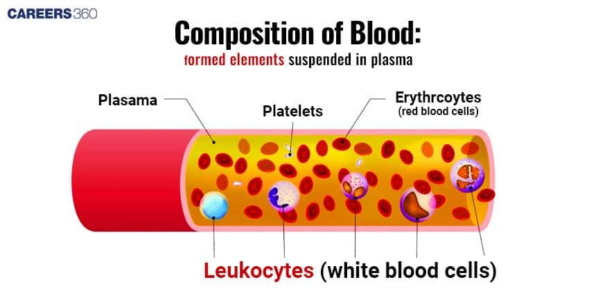 Composition of Blood