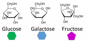 Types of Monosaccharide