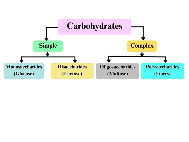 classification of carbohydrates
