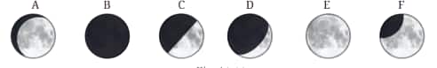 phases of moon