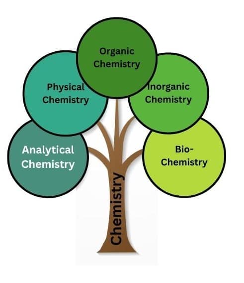 chemistry-branches1