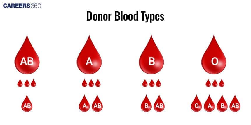 Blood group compatibility