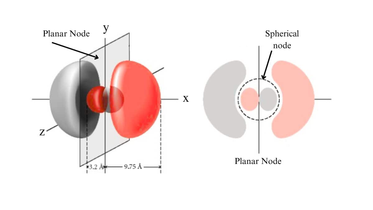 Nodes