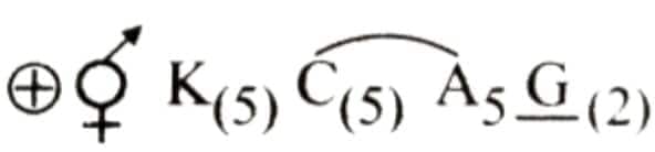 1745159805958