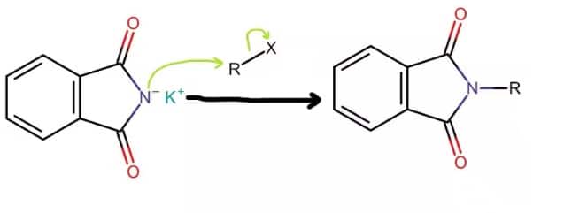 The nucleophilic nitrogen