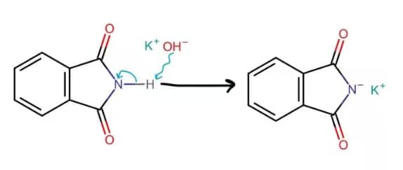 Gabriel synthesis mechanism
