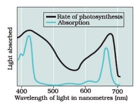 wavelengths