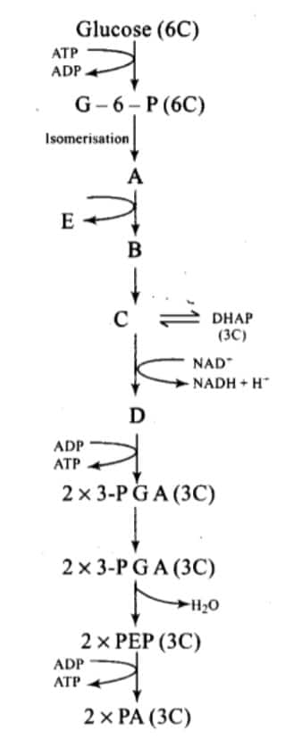 1756981427397