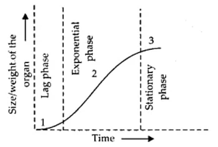 Sigmoid growth curve