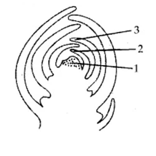 1756985413322