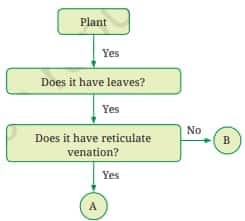 flow chart
