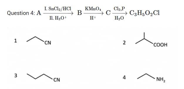 JEE Mains Jan 24 Shift 1 Question Paper