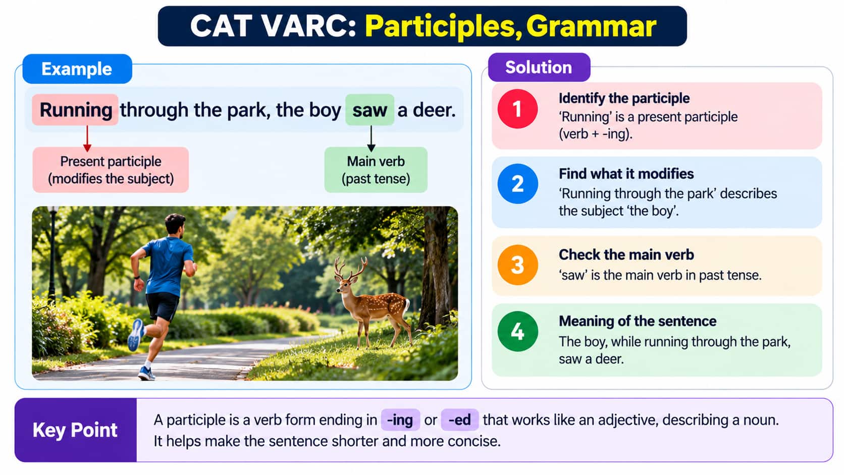 CAT VARC