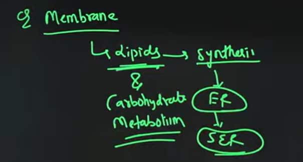 GATE_2026_February_7_Question_Paper
