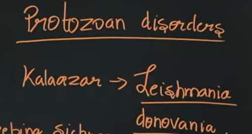 GATE_2026_February_7_Question_Paper