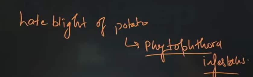 GATE_2026_February_7_Question_Paper