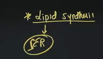 1770452753787GATE_2026_February_7_Question_Paper