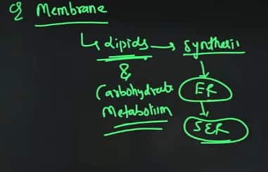 GATE_XL_2026_Answer_Key