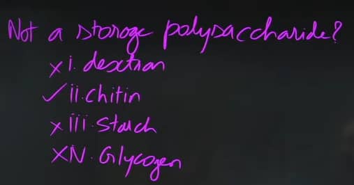 GATE_XL_2026_Answer_Key