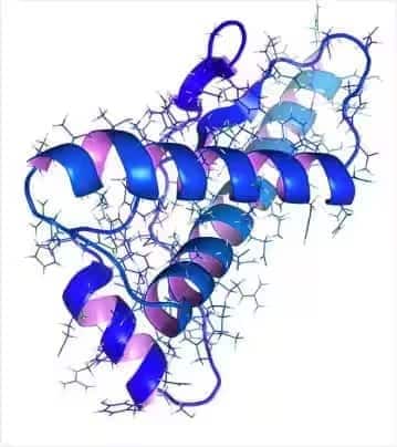 Prions: Acellular Organisms