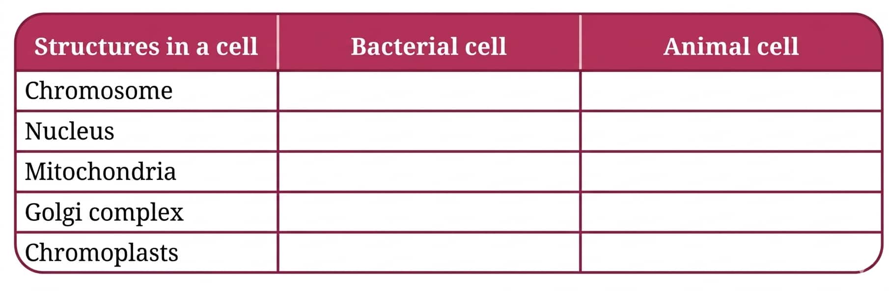 presence or absence of structures in bacterial and animal cells