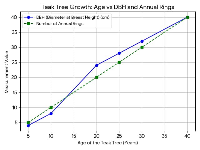 Class 9 NCERT Tissue chapter graph between the age of a tree (in years) on the x-axis and the diameter of the tree (in cm), along with the number of annual rings formed over time on the y-axis