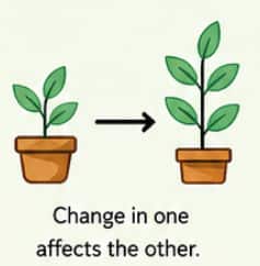 Variation