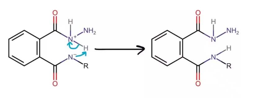 The nitrogen of phthalimide