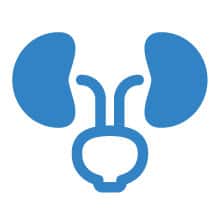 Nephrology
