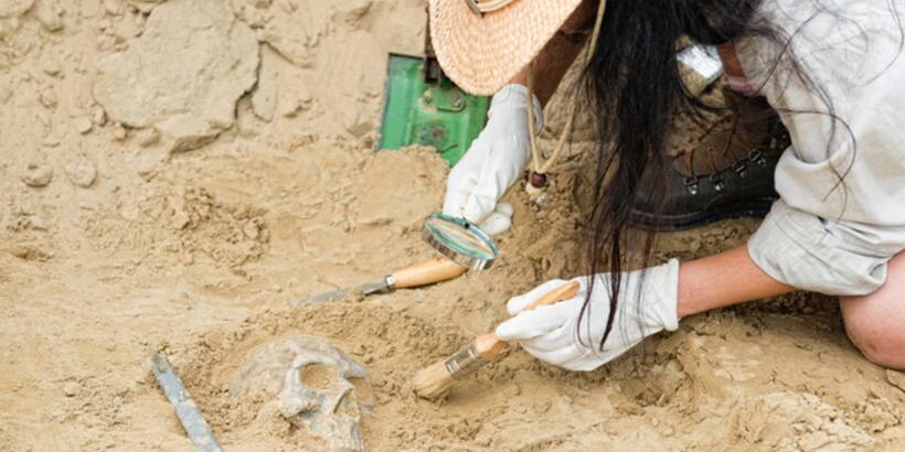Who is a Anthropologist?