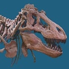Evolution A Course for Educators