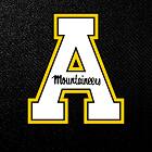 logoImg