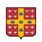 logoImg