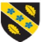 logoImg