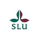 logoImg