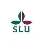 logoImg