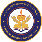 National Nursing College, Sillod