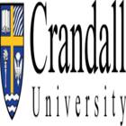 logoImg