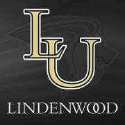 logoImg