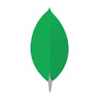 Data Wrangling with MongoDB
