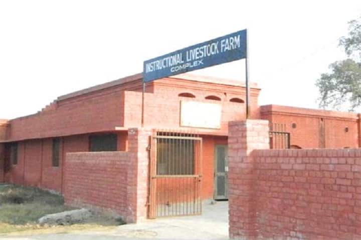 . in Veterinary Science Colleges in India 2023 – Courses, Fees, Admission, Rank . in Veterinary Science Colleges in India 2023 – Courses, Fees, Admission, Rank
