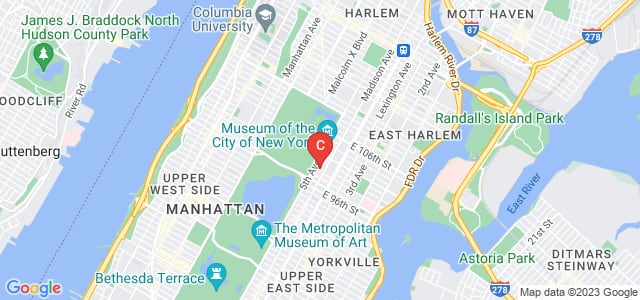 Icahn School of Medicine at Mount Sinai, Gustave L. Levy Place, New York, NY, USA