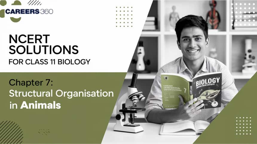 NCERT Solutions for Class 11 Biology Chapter 7 Structural Organisation in Animals