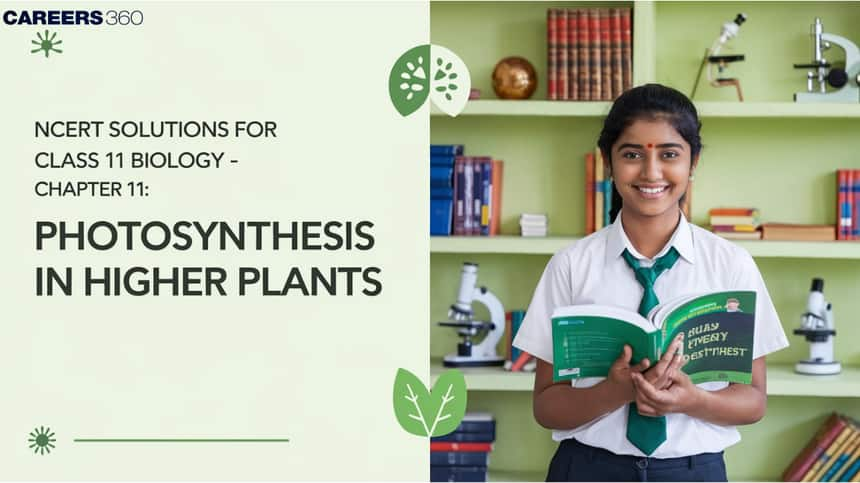 NCERT Solutions for Class 11 Biology Chapter 13 Photosynthesis in Higher Plants