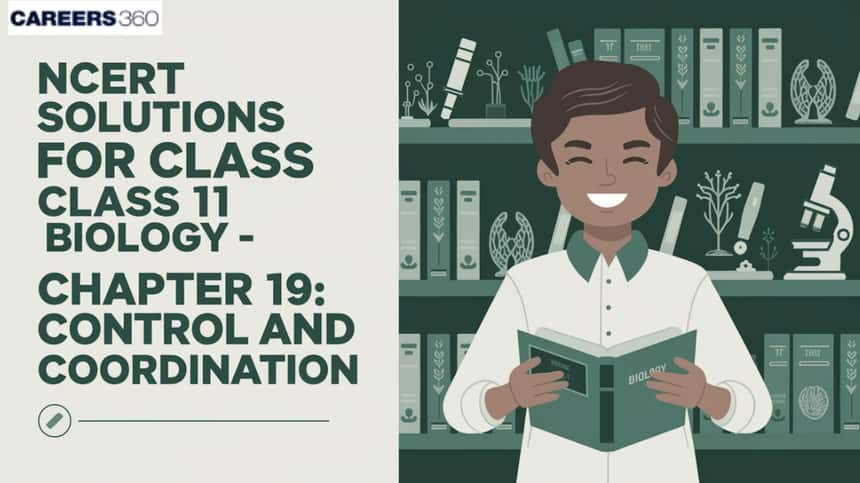 NCERT Solutions for Class 11 Biology Chapter 21 Neural Control and Coordination